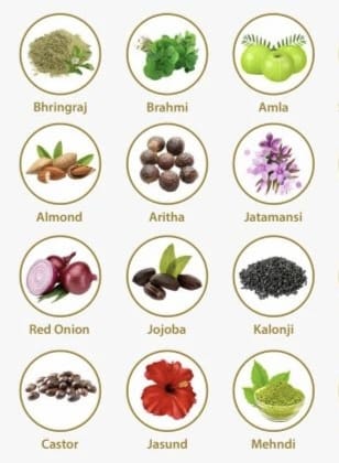 SANVI ADIVASI NEELAMBARI HERBAL HAIR OIL ALL VARIANT